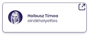 Képes link Holbusz Tímea vagyonnyilatkozatának megnyitásához