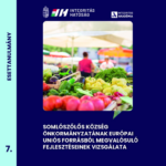 7/2026. esettanulmány: Somosszőlős Község Önkormányzatának európai uniós forrásból megvalósuló fejlesztéseinek vizsgálata